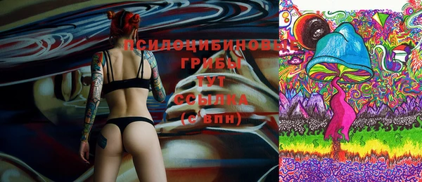 apvp Коряжма