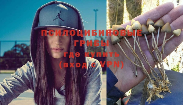 apvp Коряжма