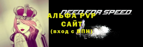 винт Костерёво