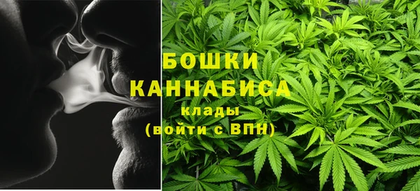 винт Костерёво