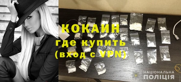винт Костерёво
