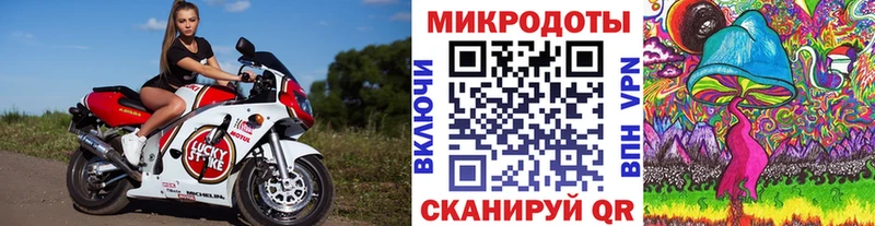 Купить где  Рассказово  Псилоцибиновые грибы прущие грибы 