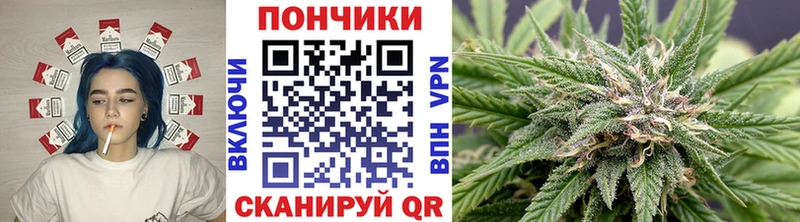 Канабис Bruce Banner  Купить закладки  Рассказово 